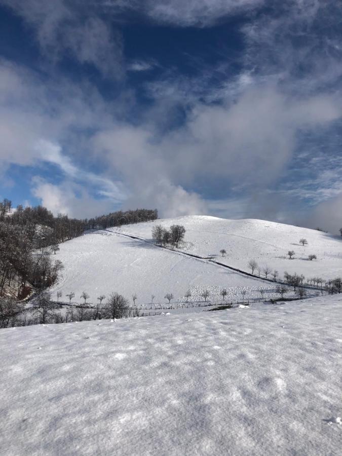 Hotel Casuta Bunicilor Isverna Exteriér fotografie